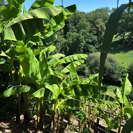 Le Pentadou - Lou Pitchoun Tatil Evi Felzins